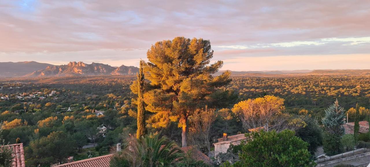Corniche du Paradis Roquebrune-sur Argens Exterior foto